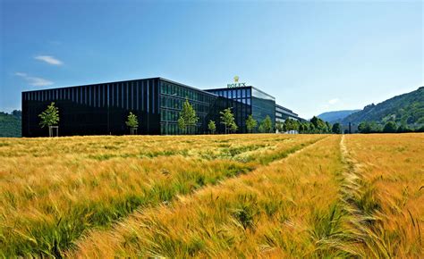 rolex emploi suisse